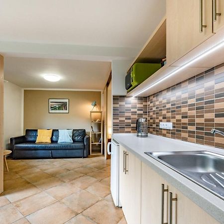 Apartment Vaclavov Decin Dış mekan fotoğraf