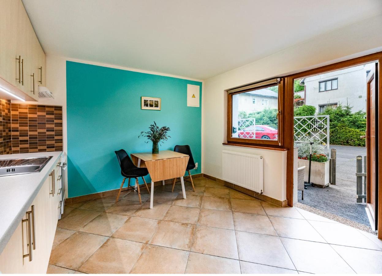 Apartment Vaclavov Decin Dış mekan fotoğraf