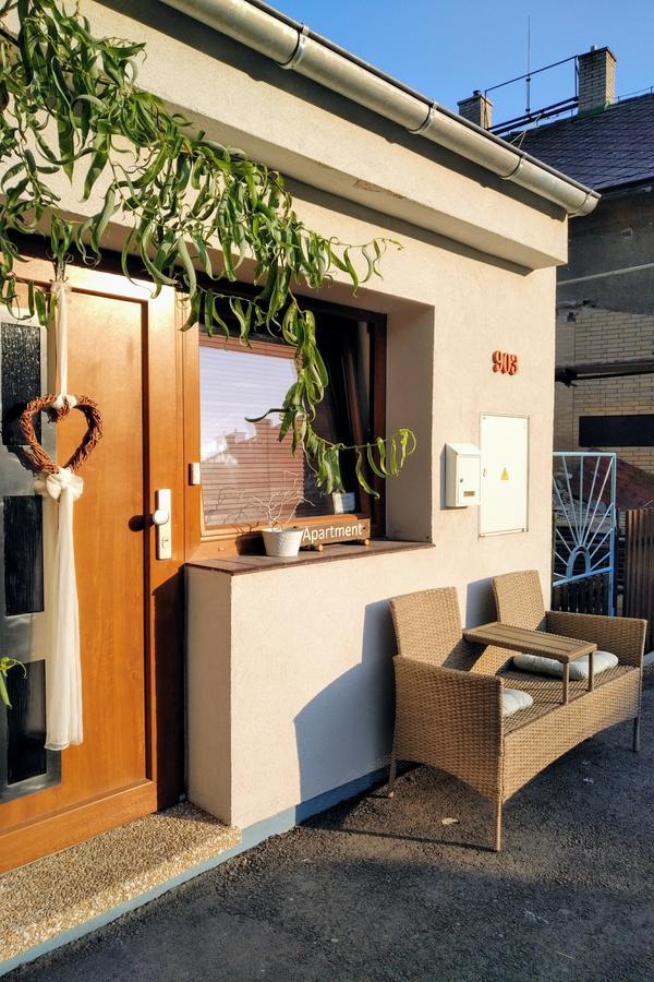 Apartment Vaclavov Decin Dış mekan fotoğraf